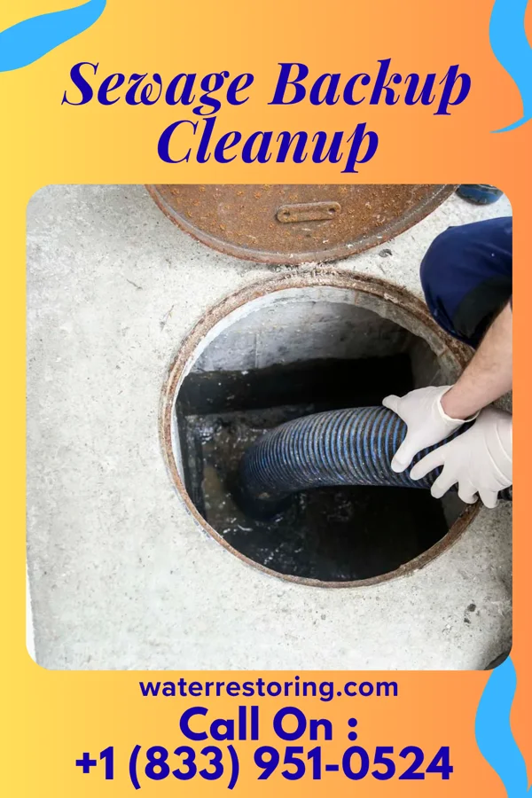 Sewage Backup Cleanup in Blevins, AR